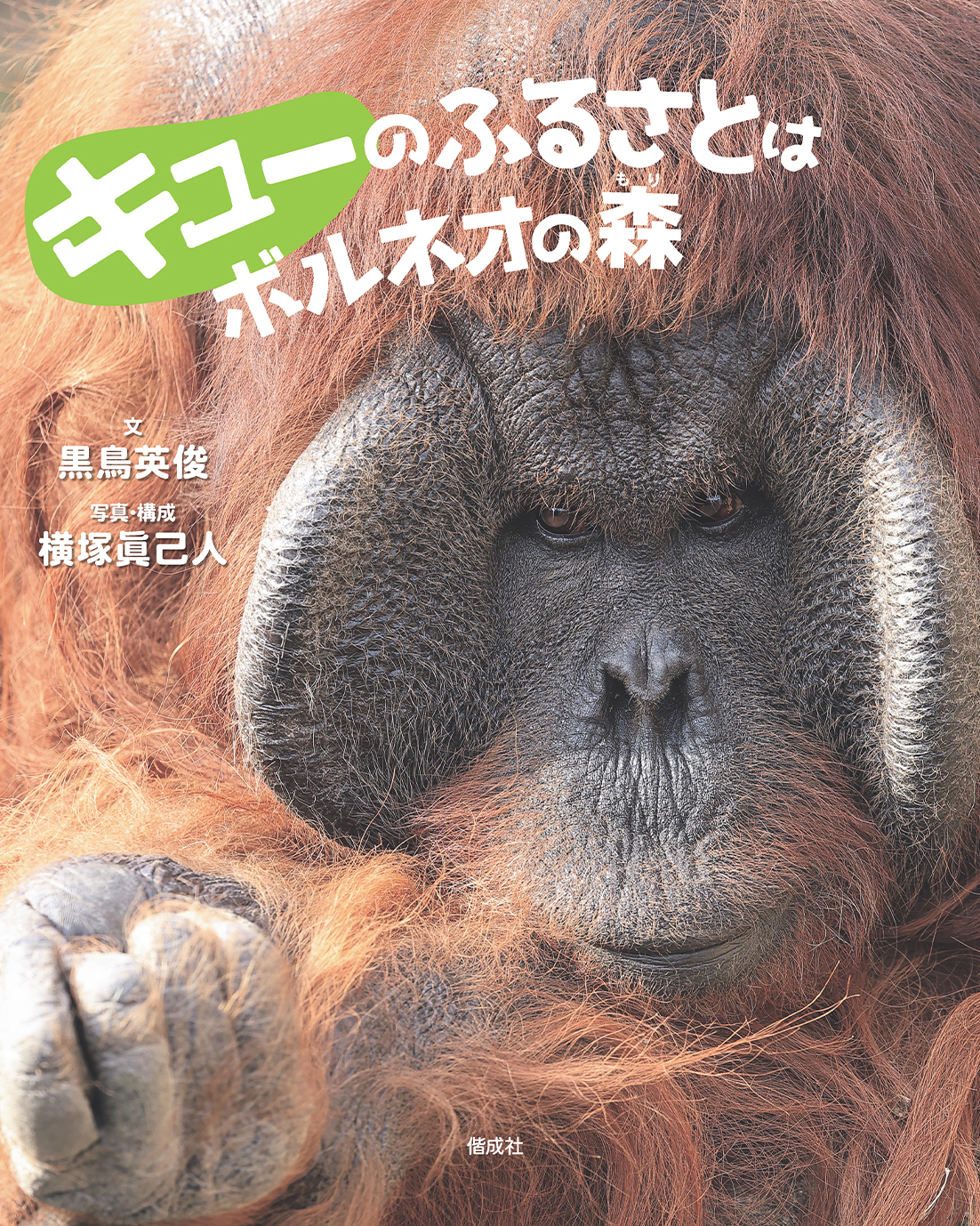 キューのふるさとはボルネオの森