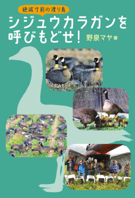 シジュウカラガンを呼びもどせ! シジュウカラガンを呼びもどせ!