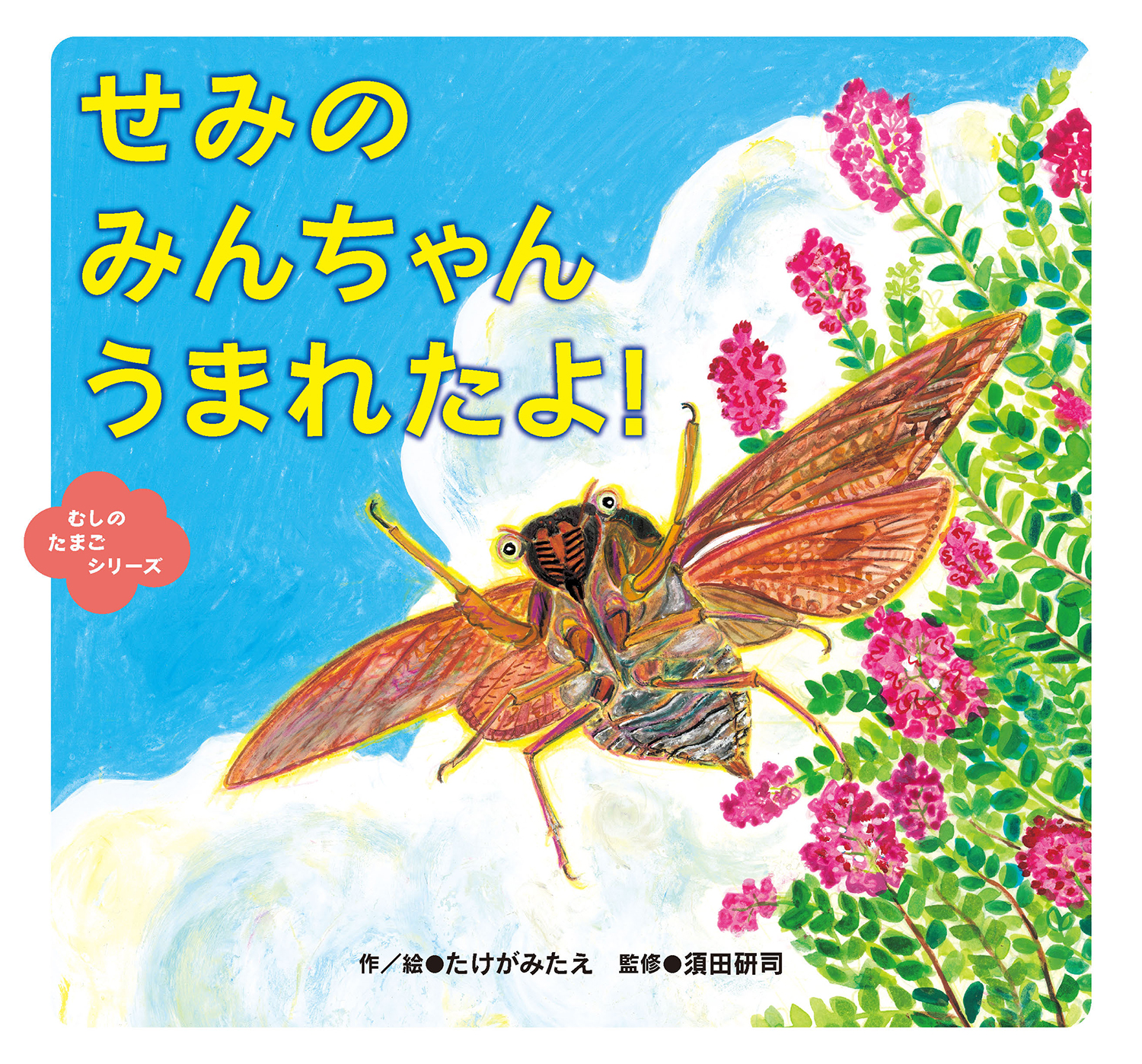 せみのみんちゃんうまれたよ!