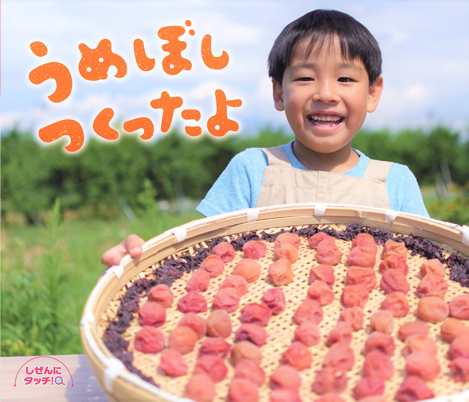 うめぼしつくったよ