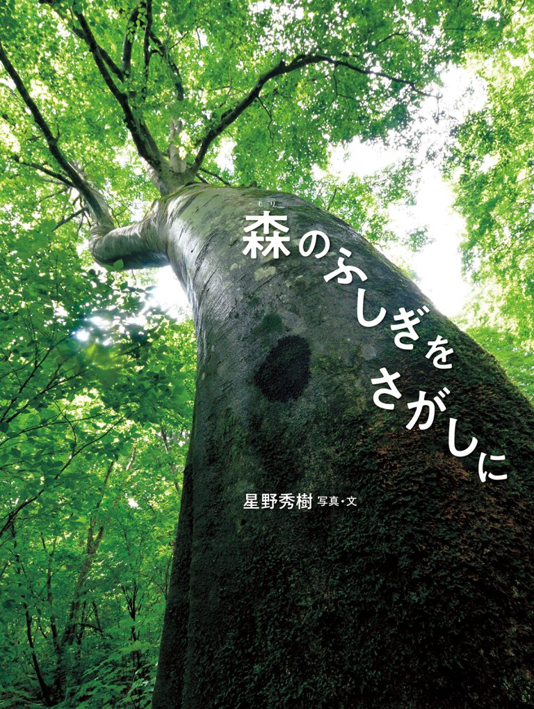 森のふしぎをさがしに 森のふしぎをさがしに