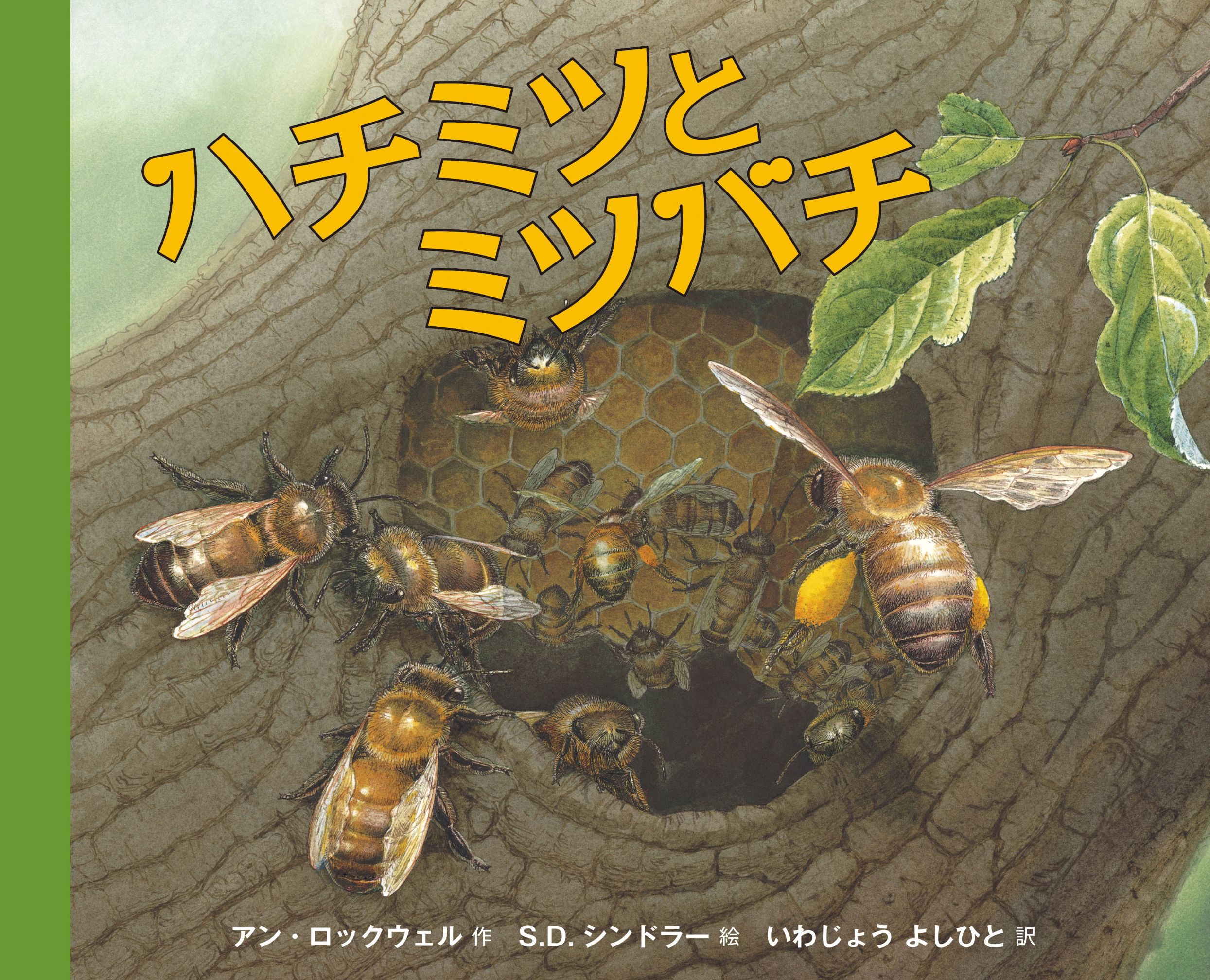 ハチミツとミツバチ ハチミツとミツバチ