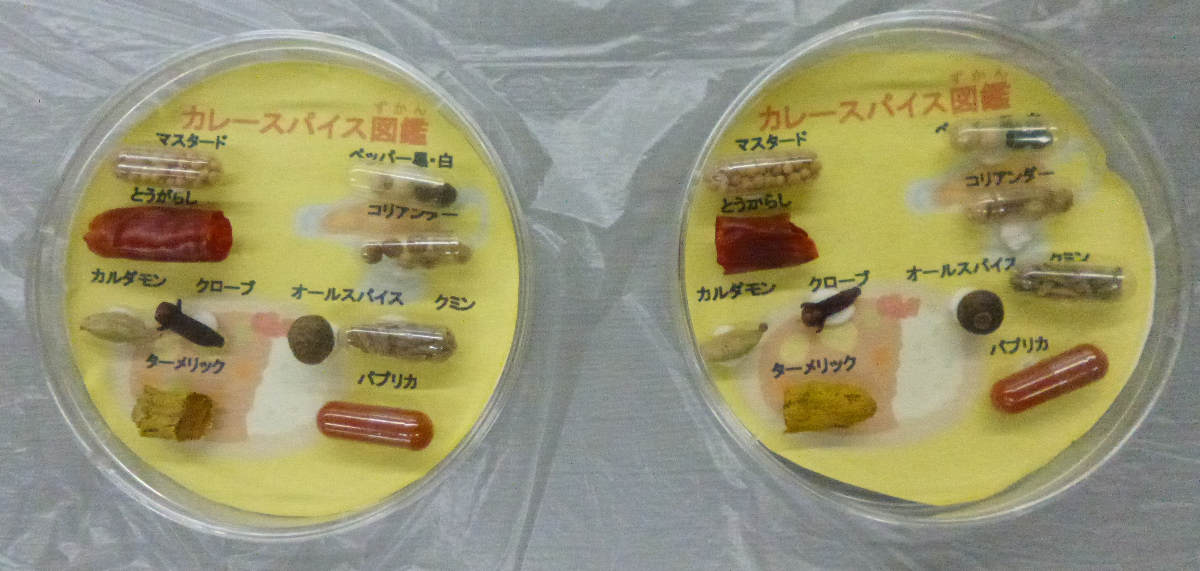 スパイス図鑑