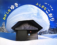 おかしなゆき  ふしぎなこおり