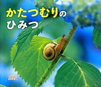 かたつむりの  ひみつ