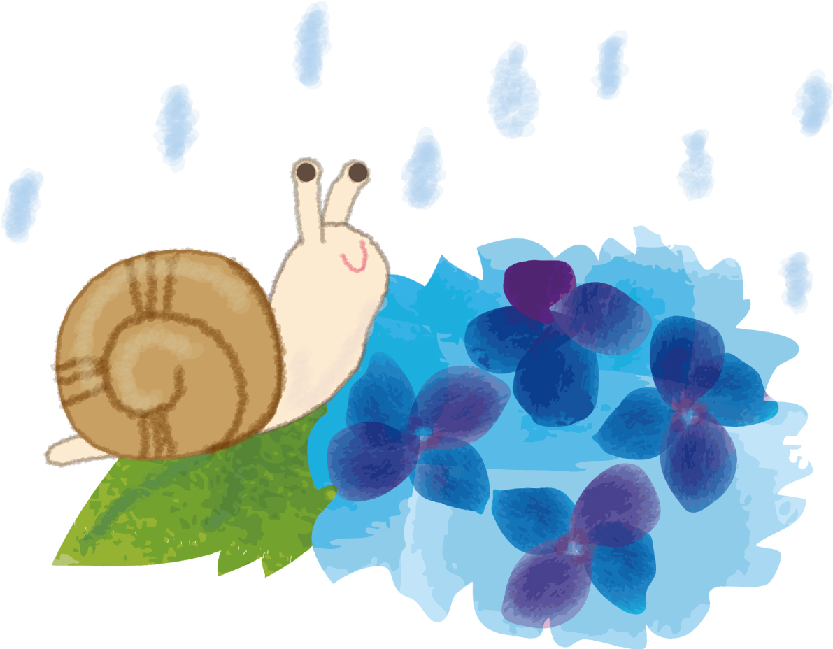 かたつむりとあじさいのイラスト