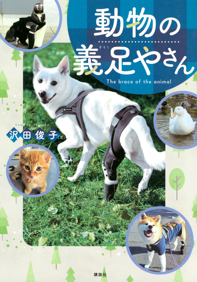 動物の義足やさん 動物の義足やさん