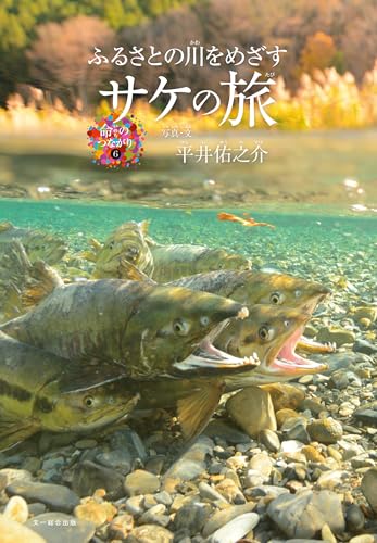 サケの旅　―ふるさとの川をめざす―